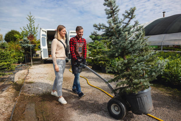 Redland, MD Tree Removal Company